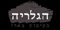 גלריית בארי עוברת לבית רומנו בתל אביב